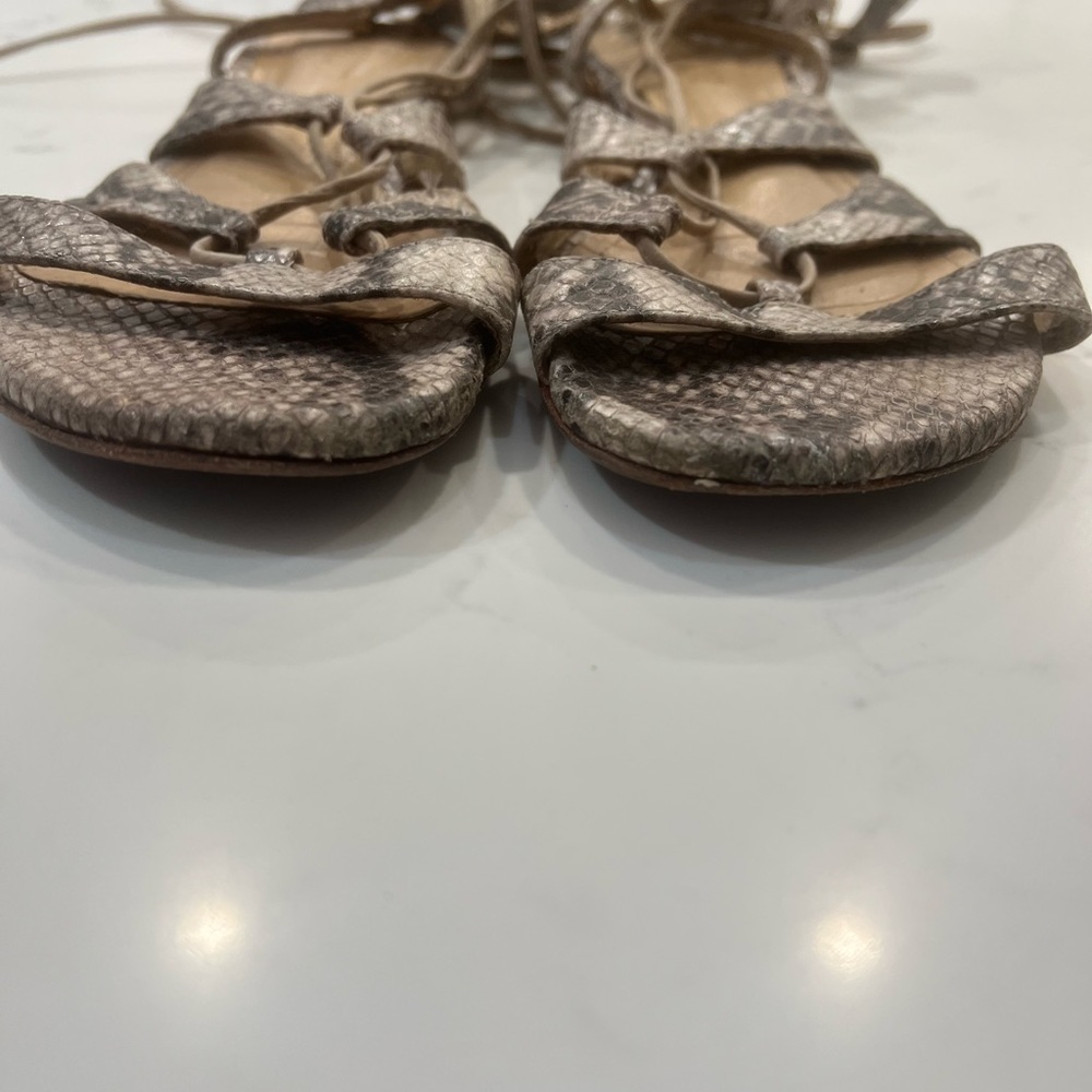 Schutz Snakeskin Gladiator Sandals!
